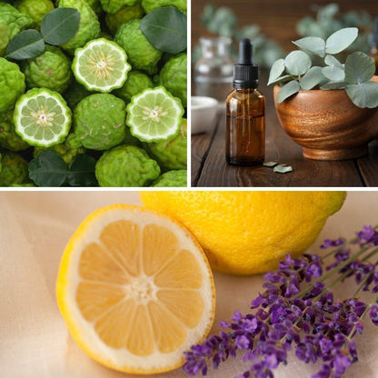 Room Fragrances - Home-away.co.uk